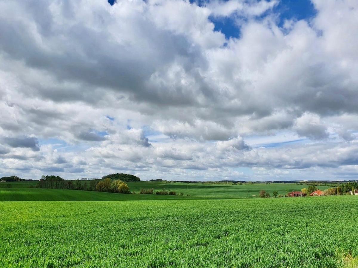 Penzion V Polich Malé Číčovice Exteriör bild