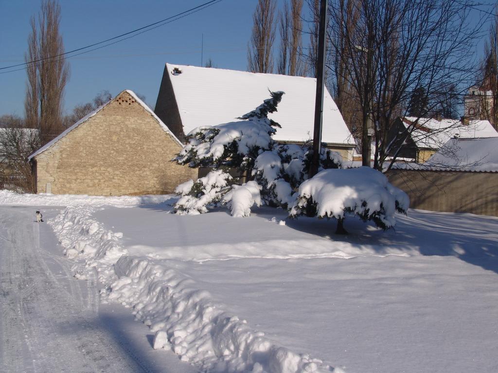 Penzion V Polich Malé Číčovice Exteriör bild